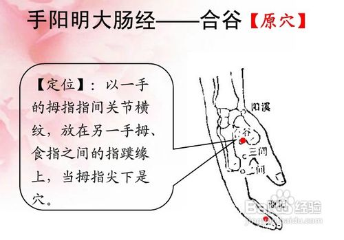 中医经络知识之手阳明大肠经图解