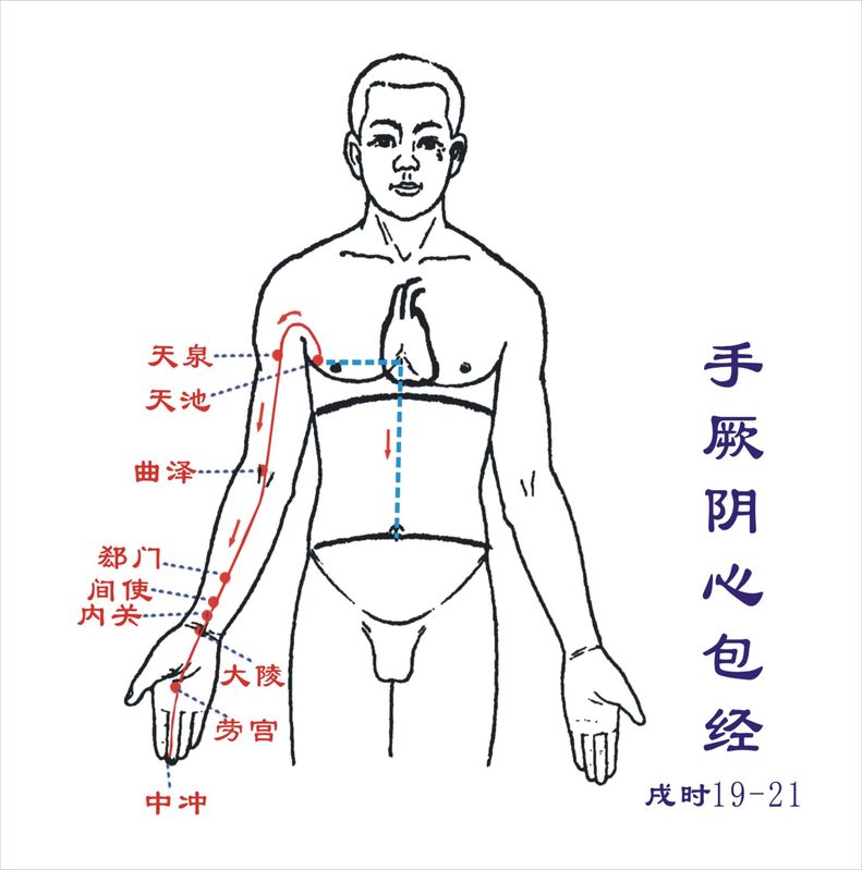 手厥阴心包经戌时(    点至    点)—心包经旺.