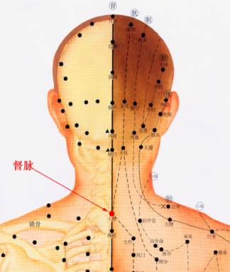 人体经络全图收藏