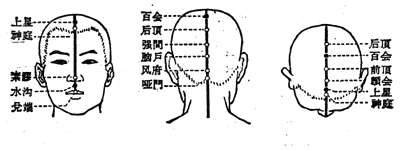 人体经络全图收藏