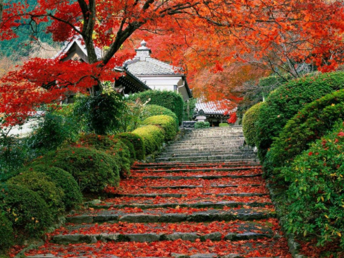 香山  