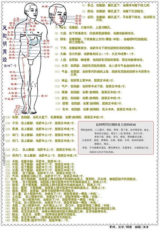 足阳明胃经穴位等彩片