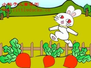 小兔子找太阳