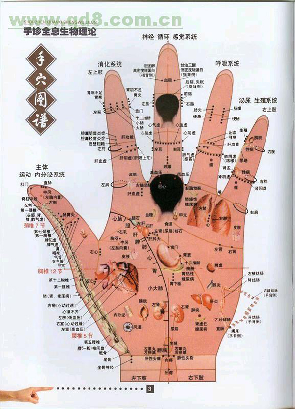右手中指点按在左手心脏反射区,配合腹式呼吸,按下,吸气;放松