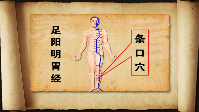 长寿指中求2肩关节疾病同名经取穴法调理脾胃神经衰弱失眠多梦五字卧