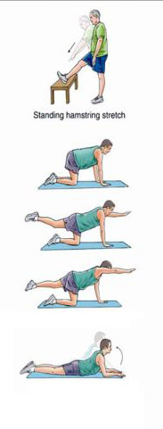 锻炼腰背肌肉的方法:每个动作停留5秒,每次做10-15组.