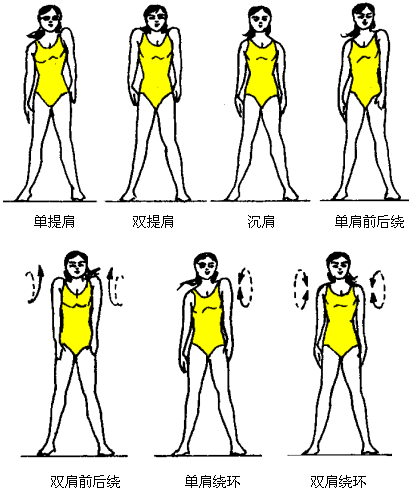 做胸左,右的水平移动.  可以看图解来完成动作的学习.