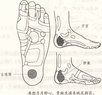 像这种生气引起的闭经,她脚上的生殖系统反射区肯定不通畅,摸上去有