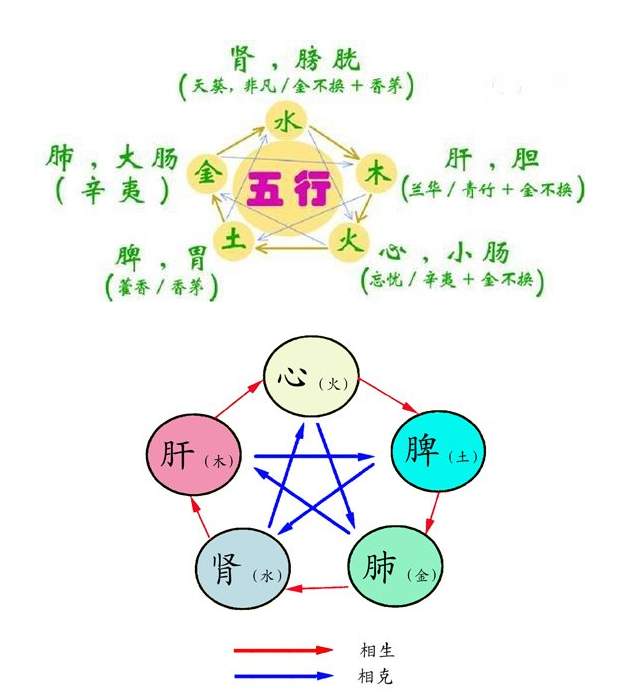 奇妙的中医基础普及:五行五色五味五季五脏六腑