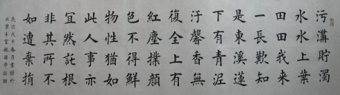 中国楷书网十杰之第八杰魏国平的书法作品
