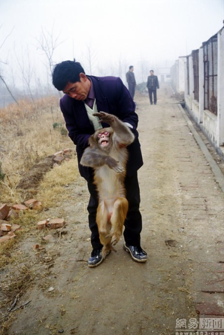 河南新野耍猴人故事:妻子撩衣襟给失母小猴喂奶