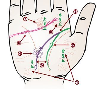 预示24种疾病手相 手掌发红或患癌症 (转载)