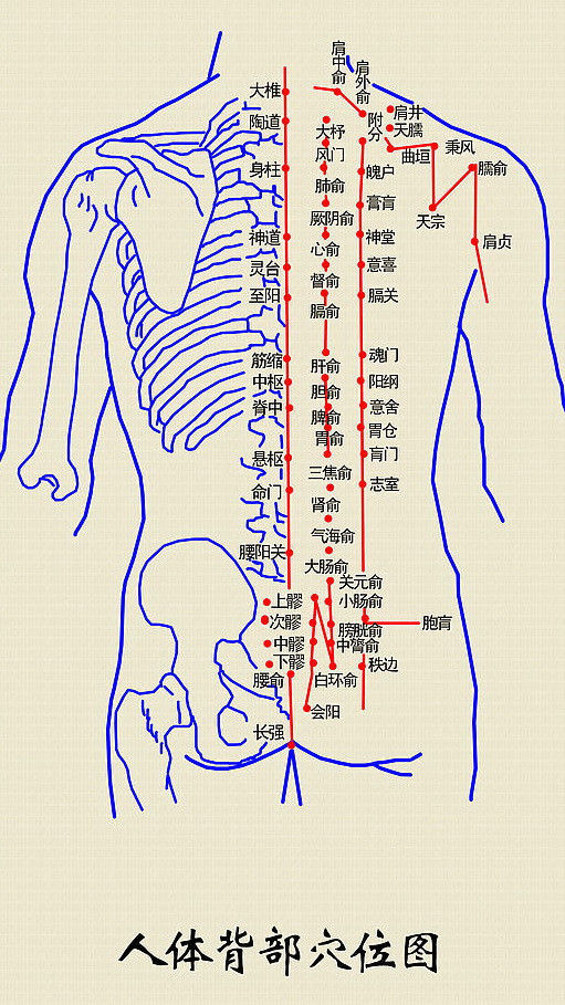 闲时多刮刮背,拉通经络