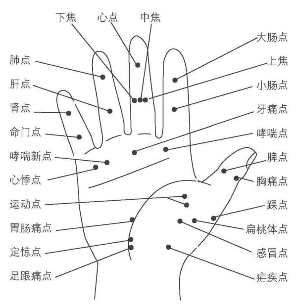 手部病理反应点与全息图 (转载)