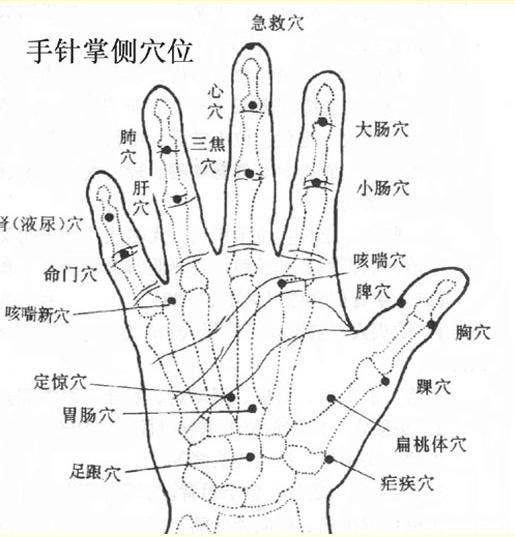 手部病理反应点与全息图 (转载)