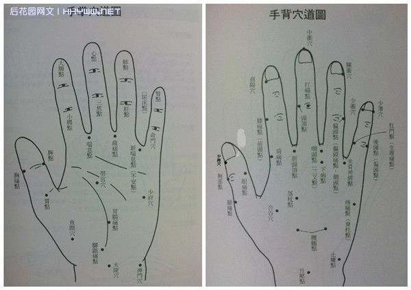 神奇的全息手诊手疗(上)