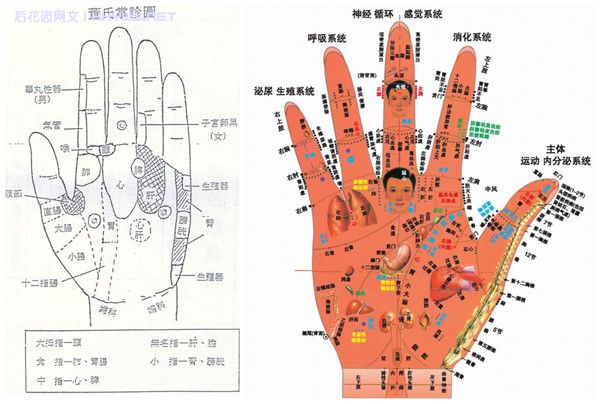 神奇的全息手诊手疗(上)