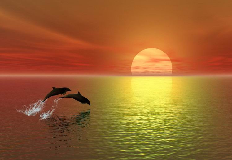 半称心,万事只求半称心图片,半称心图片_大山谷图库