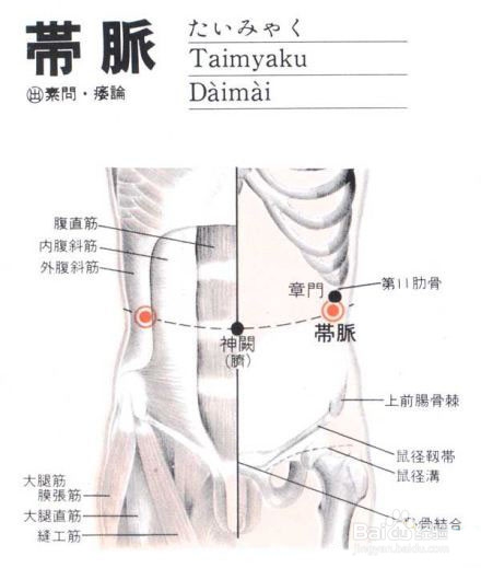 抓带脉之减肥瘦腰加调理大姨妈