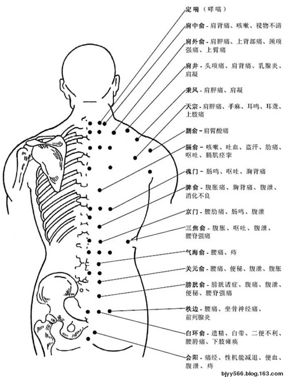 穴位作用注解图