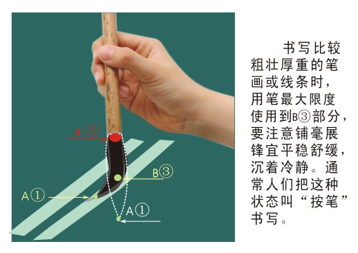 标准的毛笔握笔方法和握笔姿势(附毛笔的握笔方法图解)