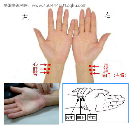 诊脉部位是手腕内侧,腕后高骨(桡骨茎突)旁,桡动脉搏动处.