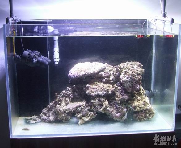穷人下海海缸开缸纪实5月30日p7更新图片梦幻水族彭城社区poweredby