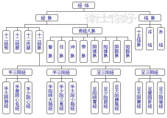 经络系统的组成及结构图手太阴肺经循行图解:《灵枢·经脉》:肺手太阴