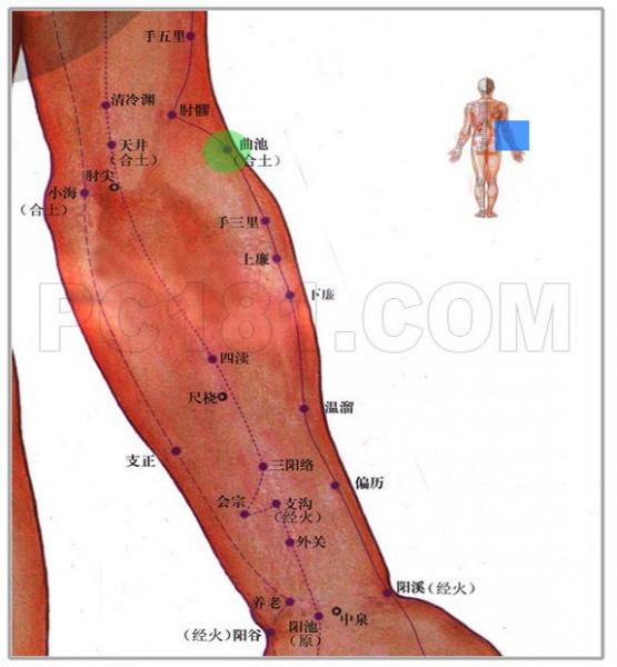 是在手肘上面的手阳明大肠经的合穴,找寻的方法是:手臂稍微弯曲起来