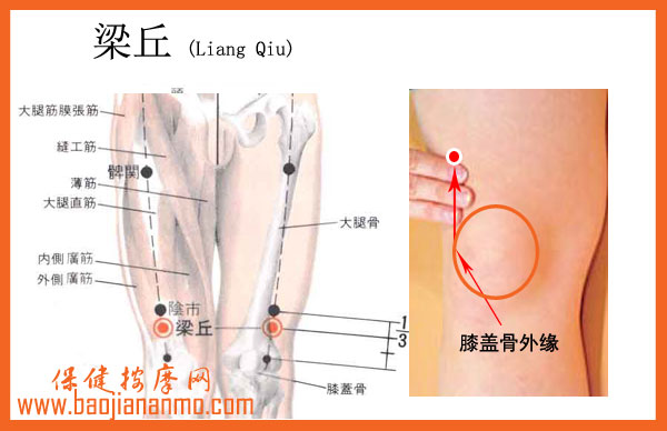 (33 阴市 st33 yīn shì[定位 在大腿前面,当髂前上棘与髌底外侧端