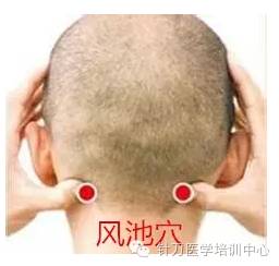 【专业篇】后脑勺的机关—头痛头晕治疗点