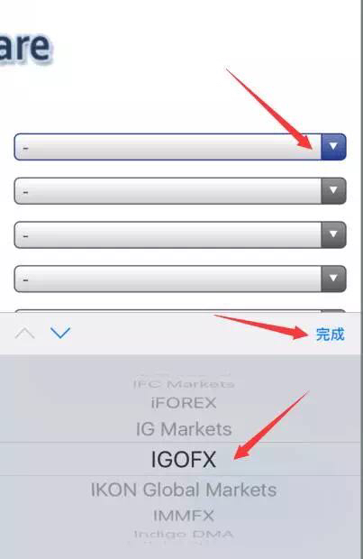 fx组合_fx组合收入情况