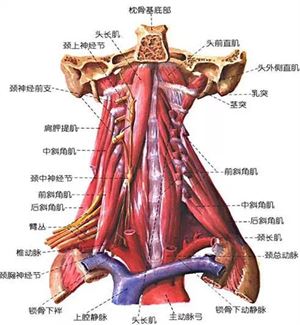 颈椎病------健康漫谈