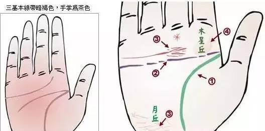 24种手诊图,堪比x光线,揭示你的身心健康