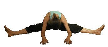 5,蜻蜓式:功效:有效的挤压和刺激骸腰肌,调整脊柱,刺激通过下背部和