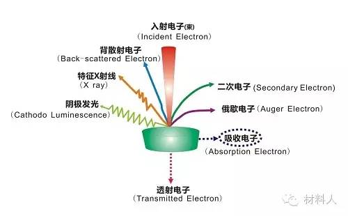 学术干货|谈谈能量色散x射线谱仪(eds)的那些事儿