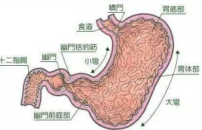 国医大师李佃贵用浊毒理论治噎膈,胃脘痛验案