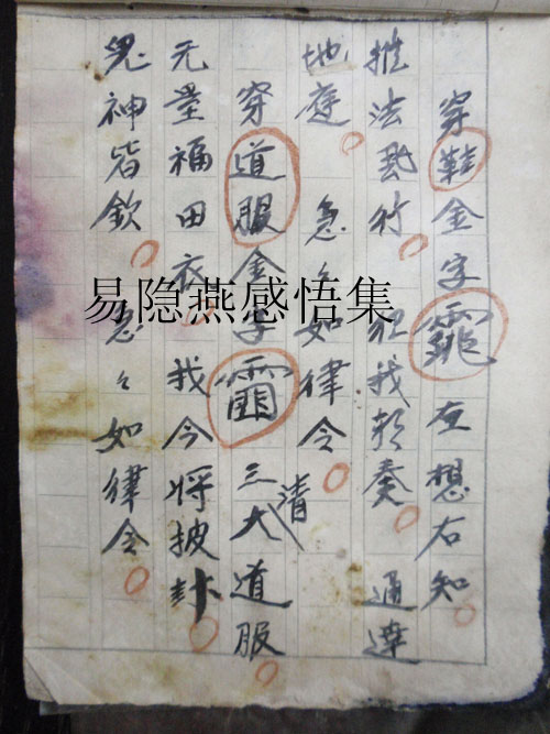 讳令符胆花字帝徽金字