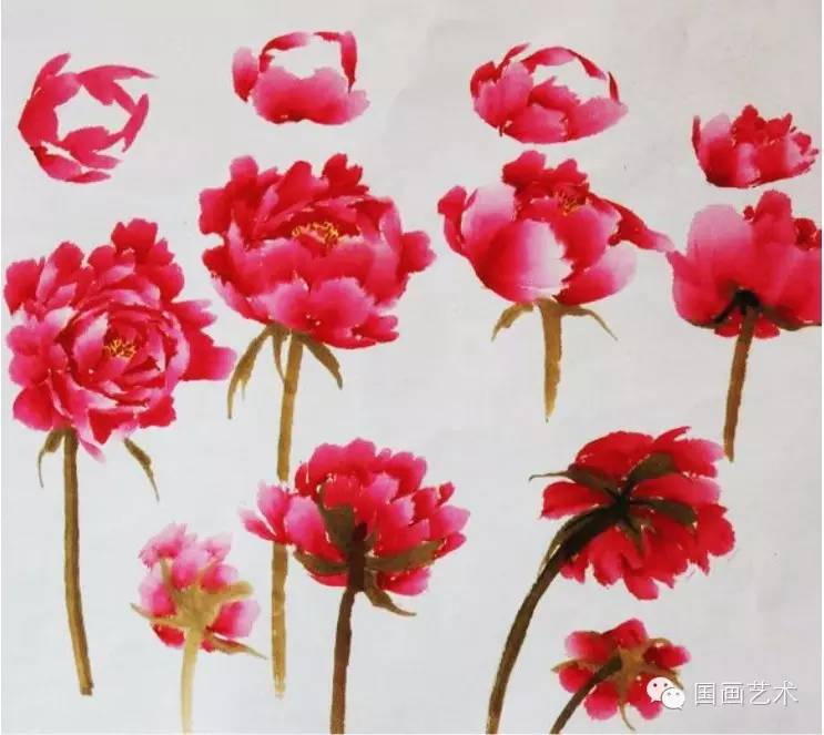 绘画基础教程:写意牡丹的画法