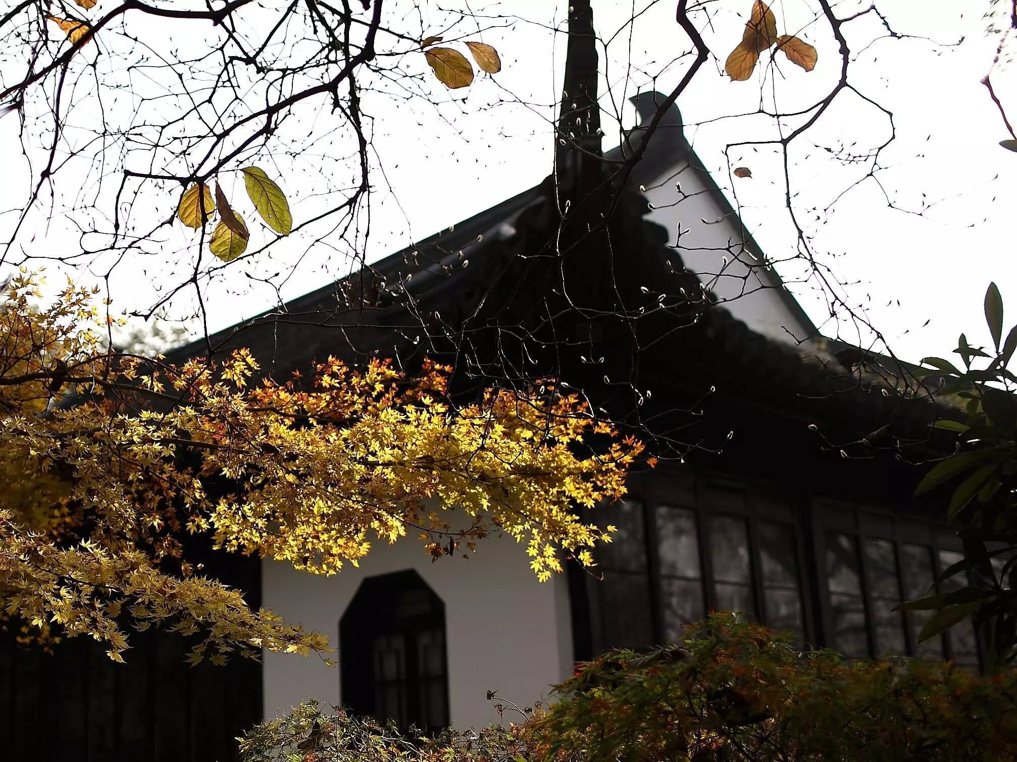 李辛——内心匮乏感导致的上yin (转载)