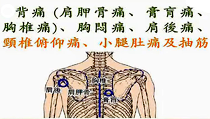 肩胛骨痛(找胸椎),对应位置在上背部的胸椎处找痛点,左肩胛痛要排除