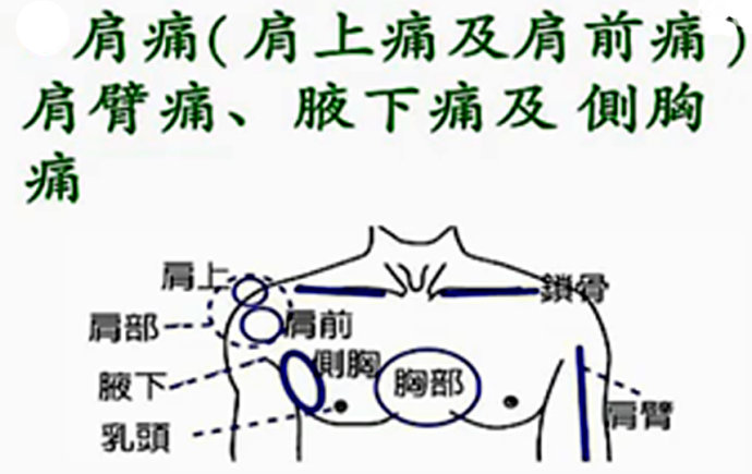 有加强上臂部及肩胛骨原始点疗效的功能,且对应前胸乳头,故对