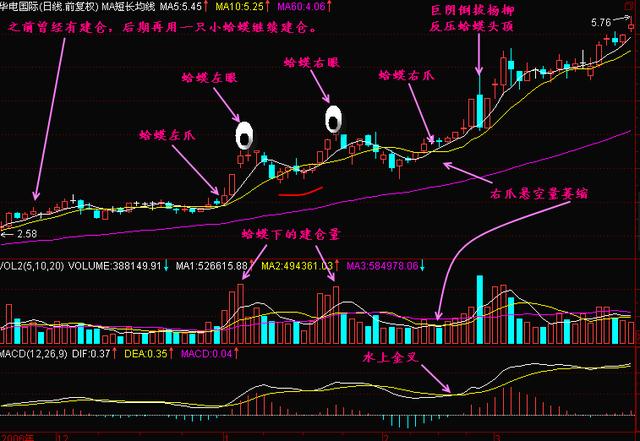 黑马股中的金蛤蟆形态一旦熟记轻松跟着庄家吃肉