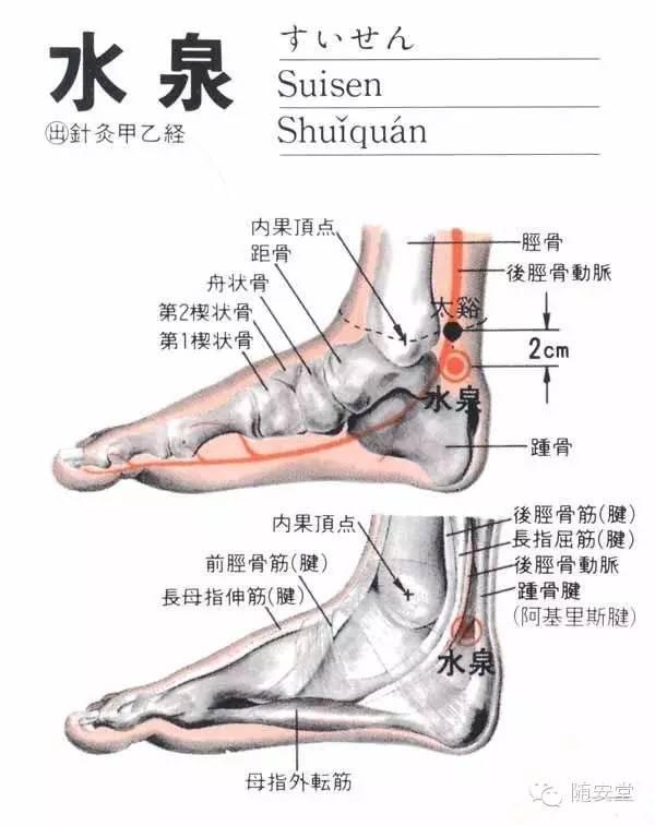 足跟痛有个特效穴按一按痛就没了