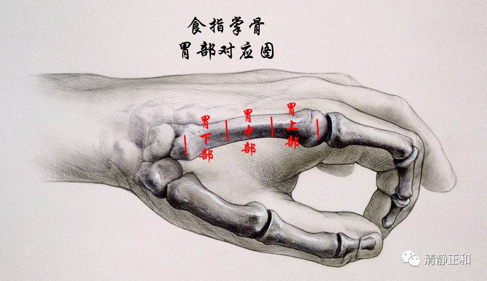阴阳九针之( )针法个人经验