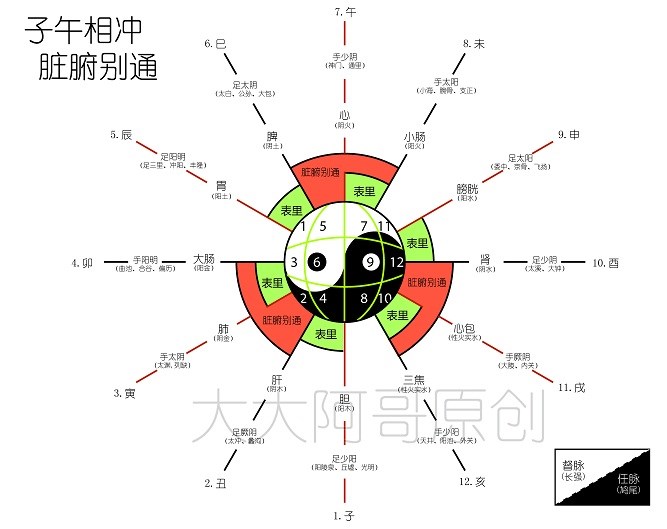 十二经对冲与脏腑别通