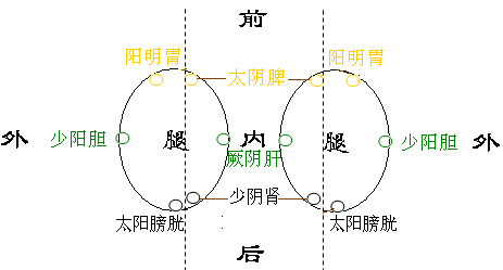 大指在前,小指在后,由前至后,臂内依次是太阴厥阴少阴,臂背依次是阳明