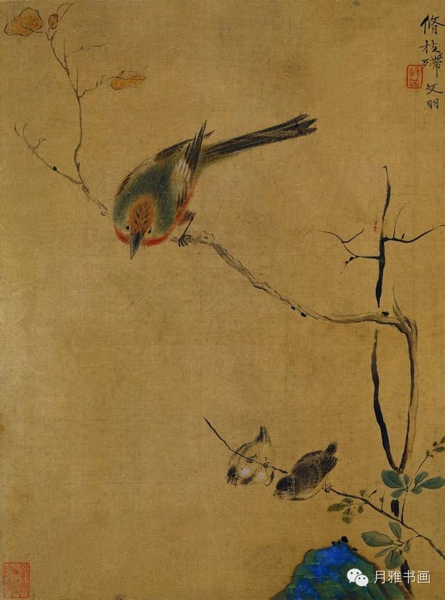 华喦花鸟册