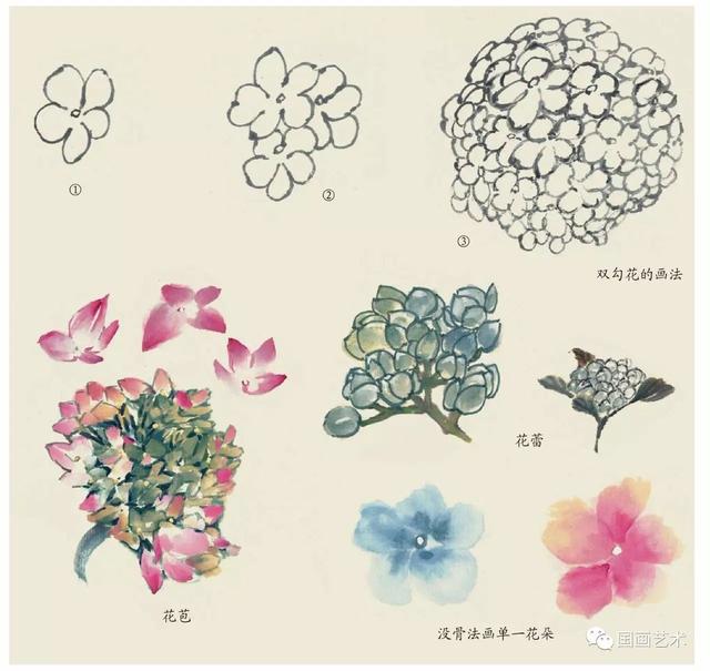 国画中各种花卉的画法,太全了!