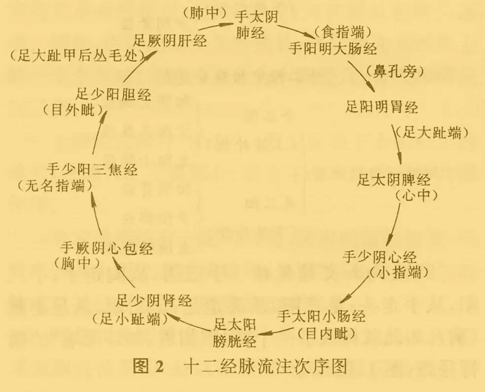 而大周天的十二条经络其实只是三条长长的经络的循环,都是从小腹内的